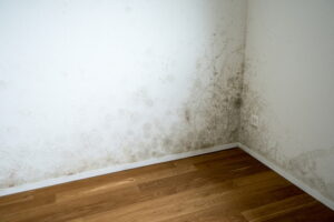 corner of a room of an empty and new apartment with wooden floors and white walls and a serious toxic mold and mildew problem